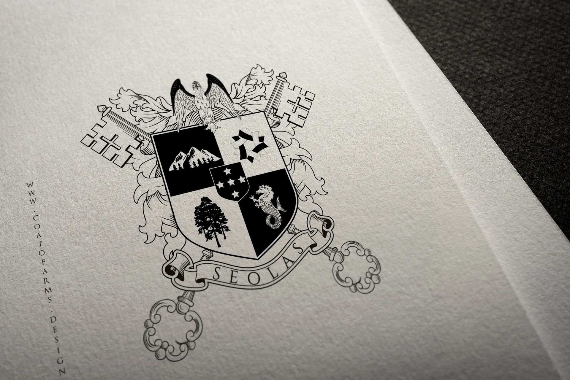 coat of arms for the solas family2