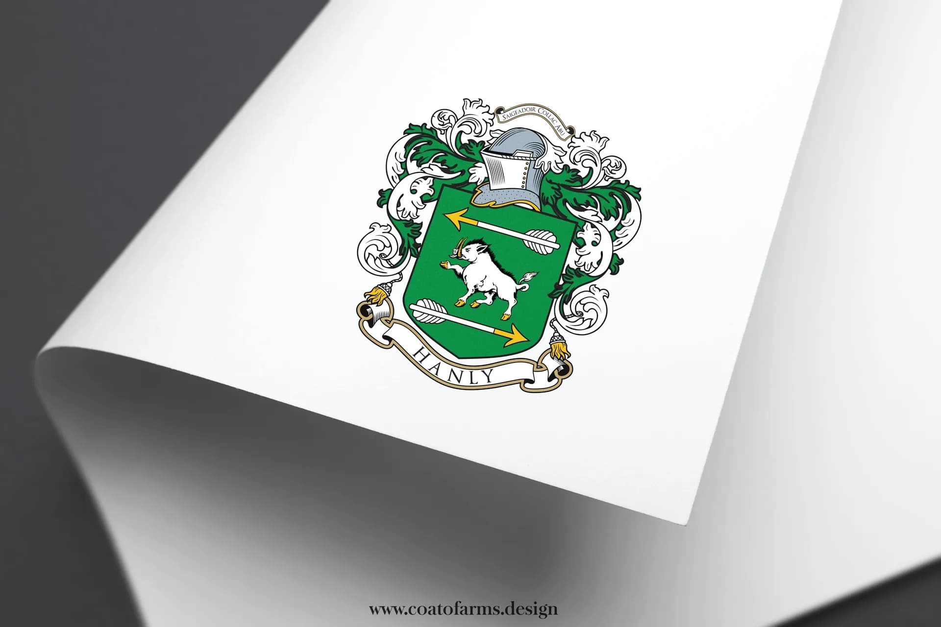 Coat of arms I designed for Hanly family from the USA